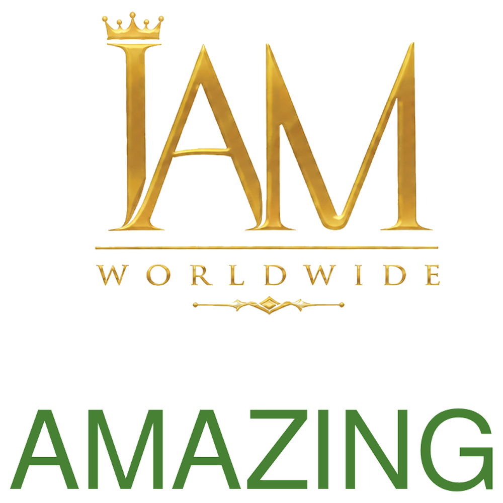 16.logo. i am amazing